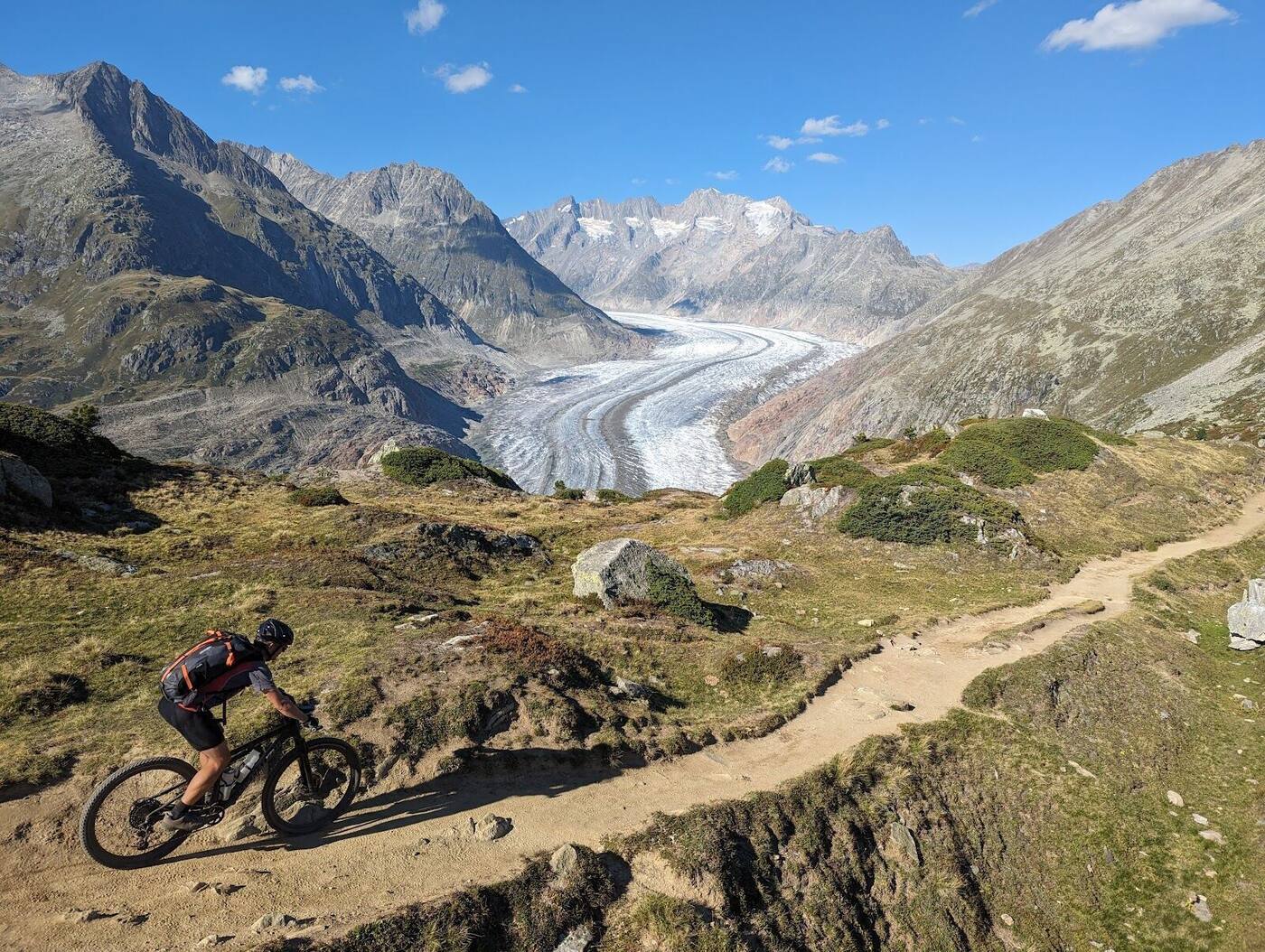 The Great Aletsch Glacier seen from the slopes above Riederalp