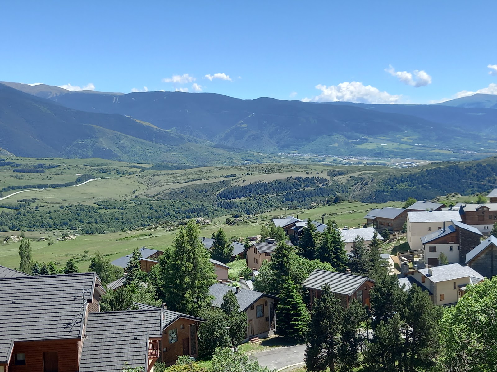Sunny well groomed ski pistes among trees at Font Romeu