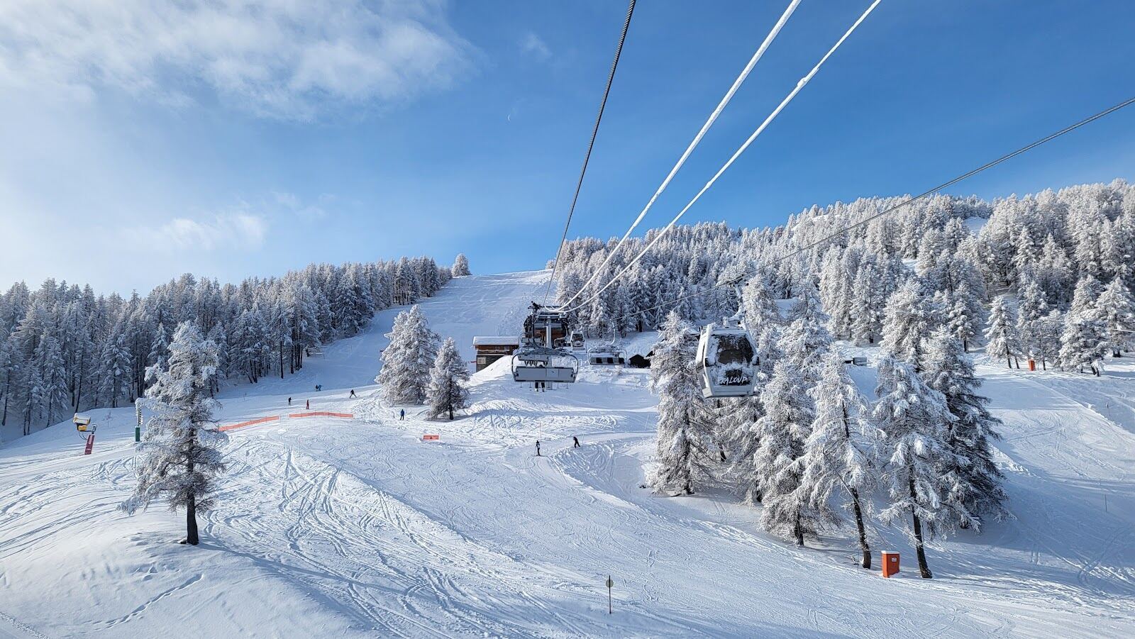 Sunny pistes through larch forest at Pra Loup