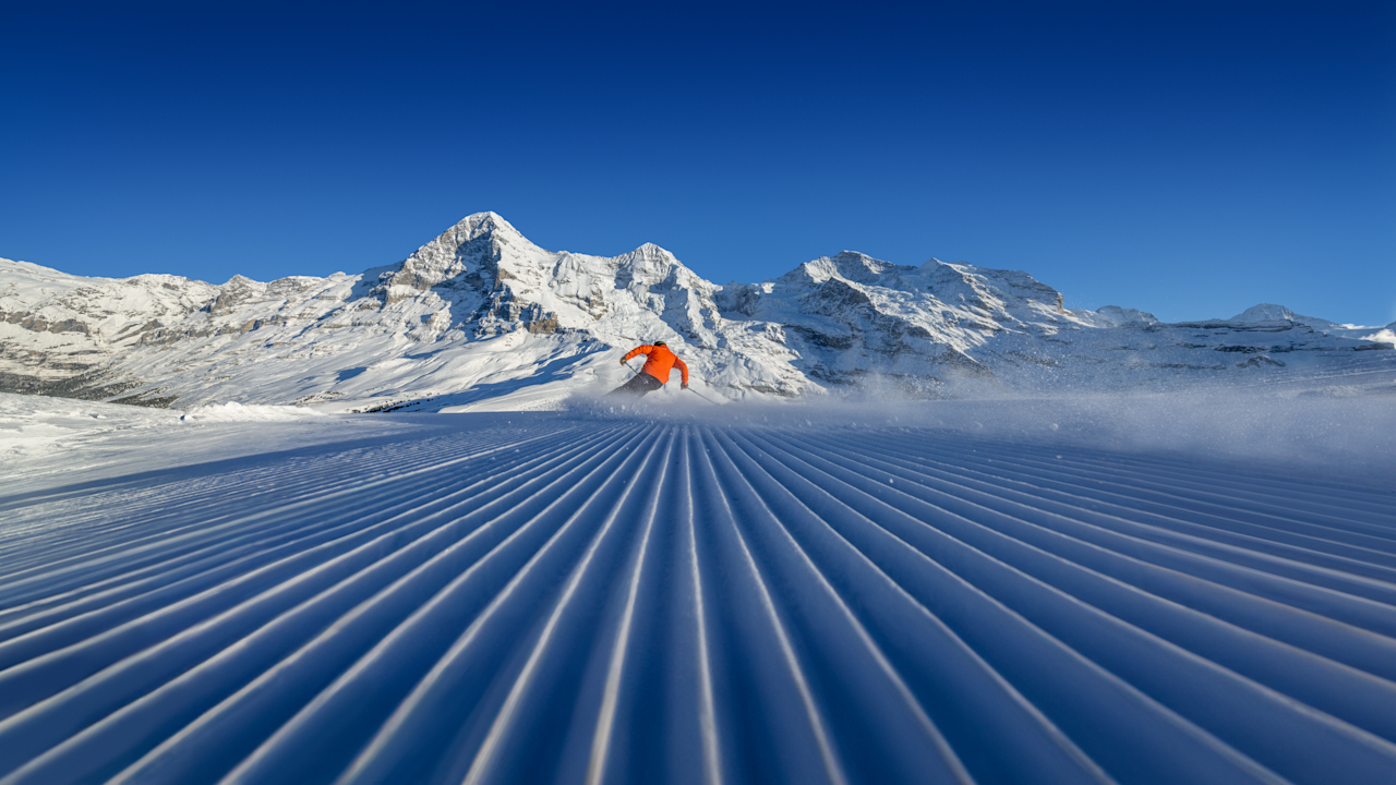 Ski slopes and pistes at Wengen