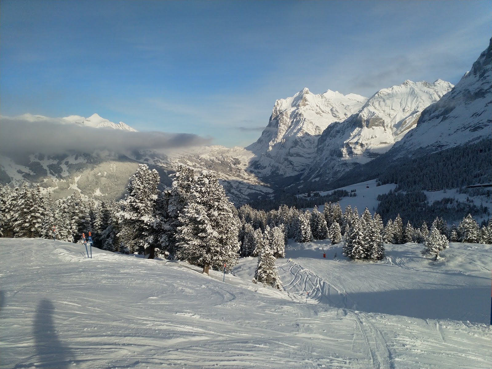 The village and surroundings of Wengen in winter